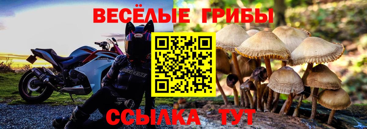 Псилоцибиновые грибы Psilocybe  Вход с VPN  купить закладку  Киреевск 