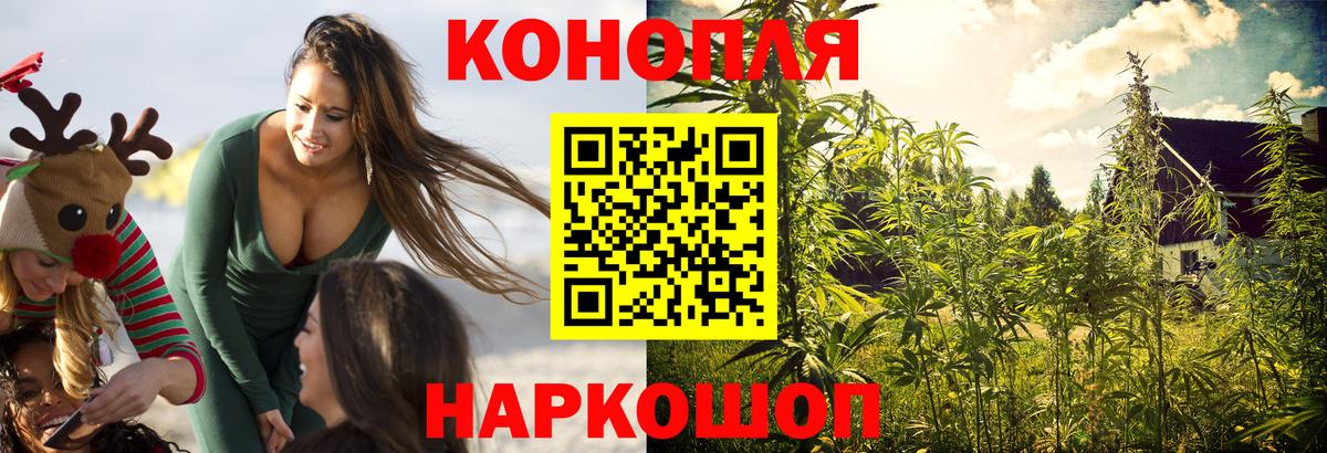 Шишки марихуана гибрид Киреевск
